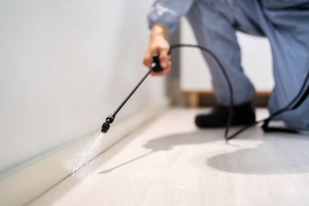 Certified termite inspector examining foundation in Mount Vernon