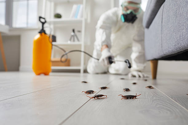 Commercial Rodent Management in Mount Vernon